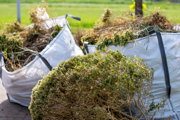 Best Attic Cleanout Services  in Wahpeton, ND